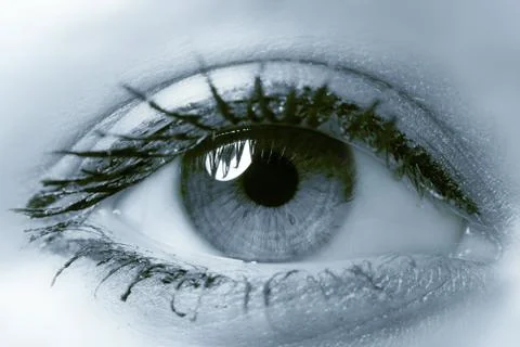 Eye Stock Photos