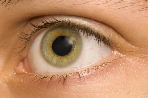 Eye Stock Photos