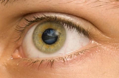 Eye Stock Photos