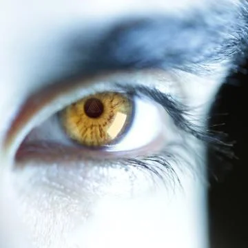 The Eye Stock Photos