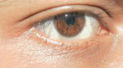 Eye Stock Photos