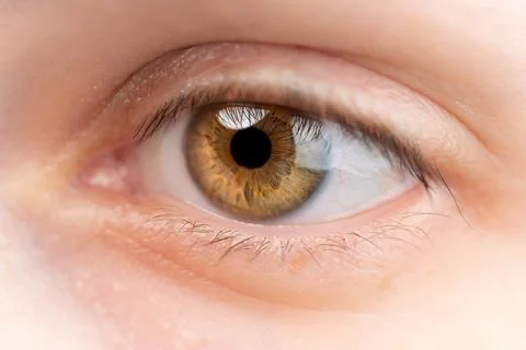 Eye Stock Photos