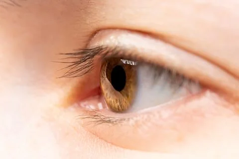 Eye Stock Photos