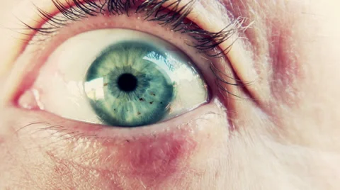 The eye of the prey Video stock 32215198