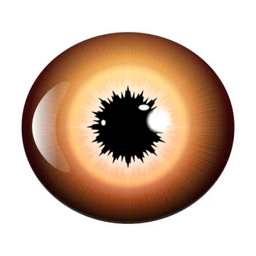 Eye, pupil, iris, vector symbol icon design. Beautiful illustration isolated  Illustrazione stock