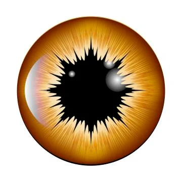 Eye, pupil, iris, vector symbol icon design. Beautiful illustration isolated  Illustrazione stock