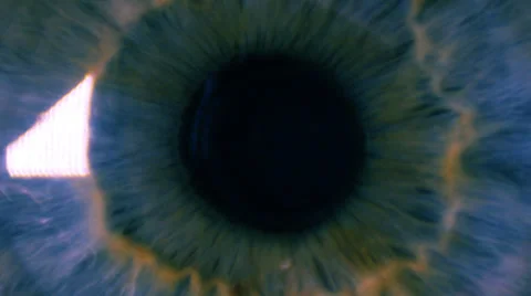 Eye pupil pulsating Stock Footage