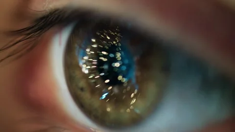Eye Reflection Showing Christmas Tree Lights and Holiday Home Decorations Stock Footage 331107036