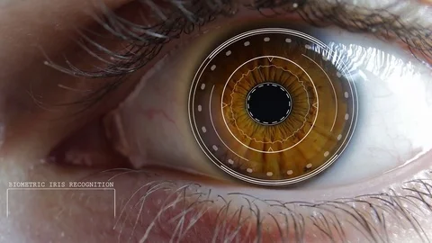 Eye Scanner Iris Access Granted Biometric Recognition Brown Caucasian Video stock 84651166