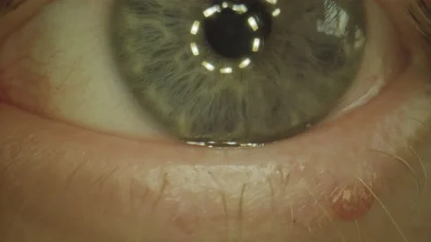 An eye shot in macro with highlights Stock Footage 170069548