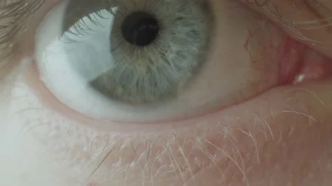 Eye shot in macro with side light Stock Footage 170069553