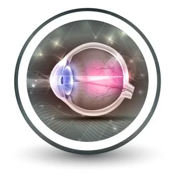 Eye sight round shape icon Stock Illustration
