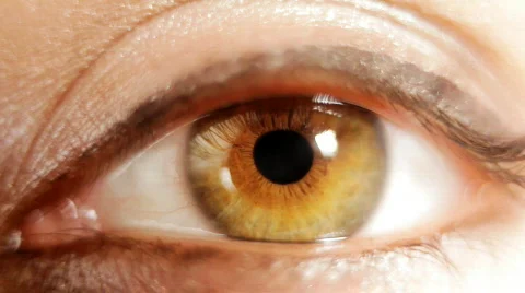 Eye sight vision make-up beauty optical Stock Footage