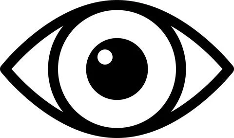 Eye simple icon. Flat line symbol of eye Eyesight vector. 스톡 일러스트