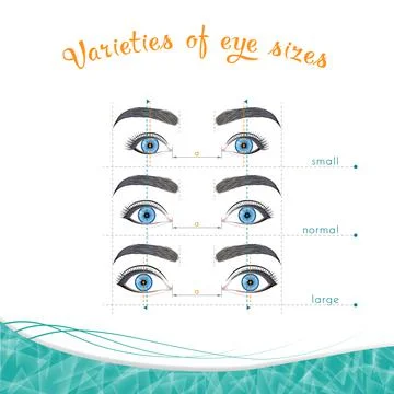 Eye sizes on a white background Illustrazione stock