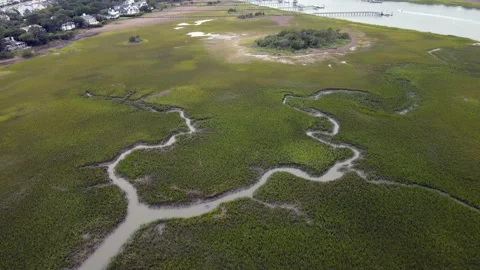 Eye in the Sky: Late May Cloudy Day at Wild Dunes, South Carolina Stock Footage 242721238
