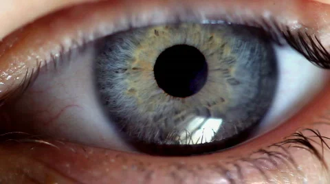 Eye twitches nervously Stock Footage 484004