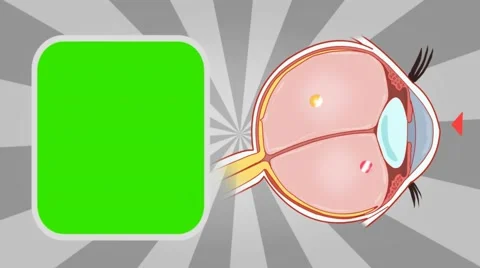 Eye - Vector Animation - Human Body - Su... | Stock Video | Pond5