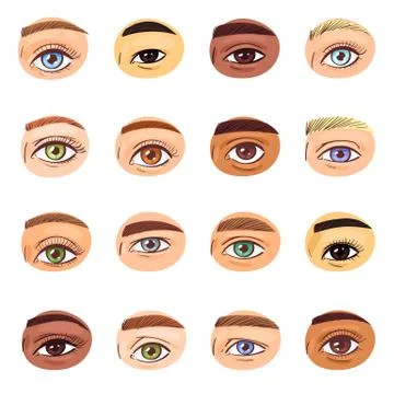 Eye vector human eyesight vision beauty female view of eyebrows eyelashes and Stock Illustration