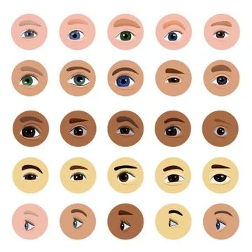 Eye vector human eyesight vision beauty female view of eyebrows eyelashes and Stock Illustration