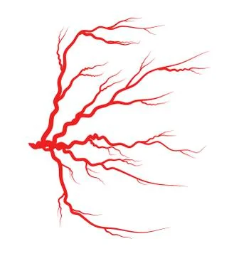 Eye vein red vector symbol icon design. Stock Illustration