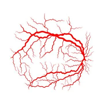 Eye vein system x ray angiography vector design isolated on white Stock-Illustration