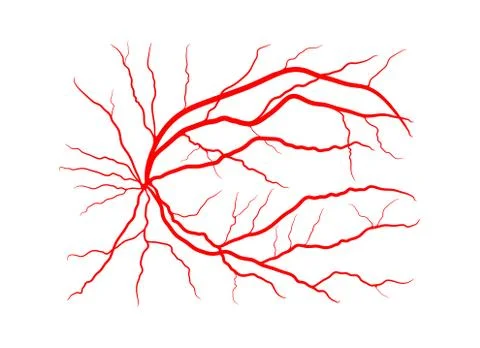 Eye vein system x ray angiography vector design isolated on white Illustrazione stock