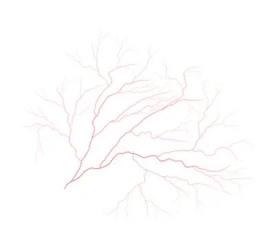 Eye vein vector symbol icon design. Beautiful illustration isolated on white  Stock Illustration