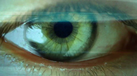 Eye vision sight looking vision eyesight Stock Footage 305233