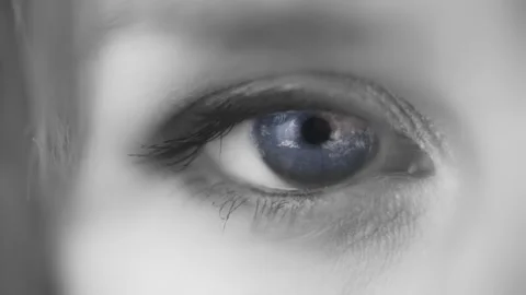 EYE ON THE WORLD Stock Footage 248102341