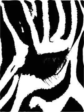 Eye of a zebra Stock Illustration