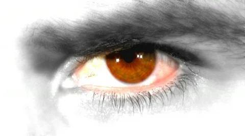 Eye3 Stock-Footage 460137