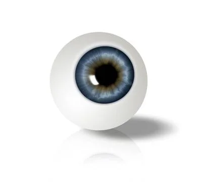 Eyeball eyeball on white background - computer generated for your projects... 스톡 사진