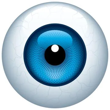 Eyeball Stock Illustration