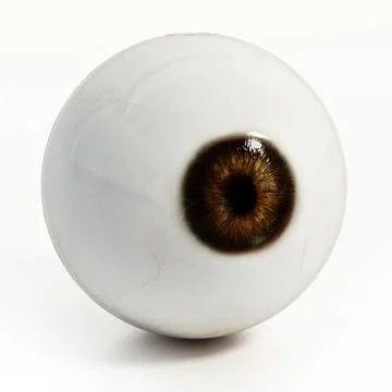 Eyeball isolated on white background. 3D illustration Stock Illustration