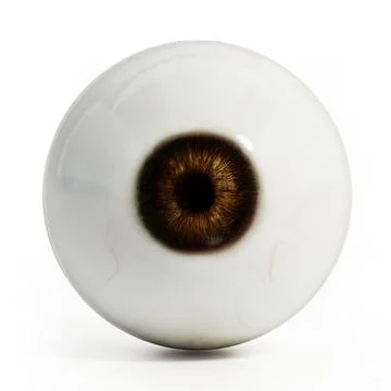 Eyeball isolated on white background. 3D illustration Stock Illustration