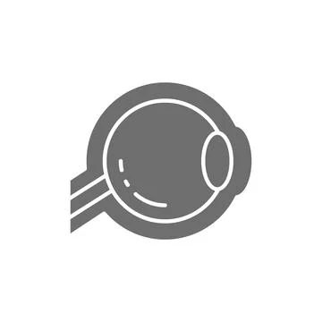Eyeball, optic nerve grey icon. Isolated on white background Stock Illustration