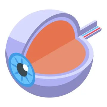 Eyeball perception icon isometric vector. Visual memory Stock Illustration