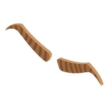 Eyebrow correction icon isometric vector. Tattoo makeup Stock Illustration