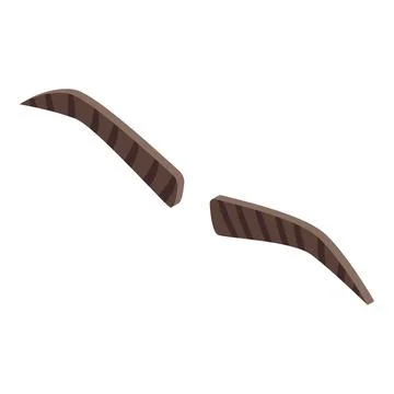 Eyebrow correction icon isometric vector. Eye makeup Stock Illustration