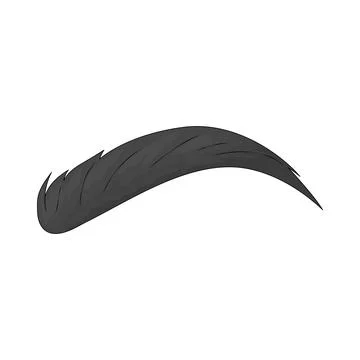 Eyebrow illustration Stock Illustration