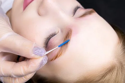 Eyebrow lamination procedure using components Stock Photos