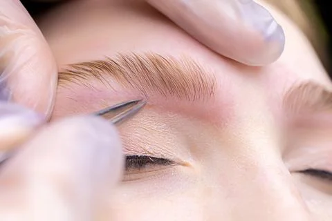Eyebrow lamination procedure using components Stock Photos