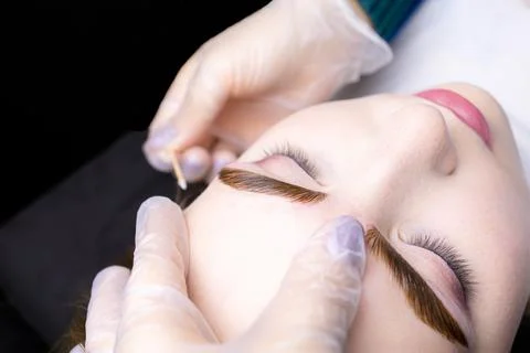 Eyebrow lamination procedure using components Stock Photos