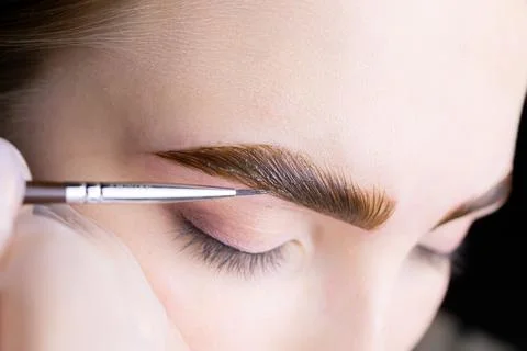 Eyebrow lamination procedure using components Stock-Fotos
