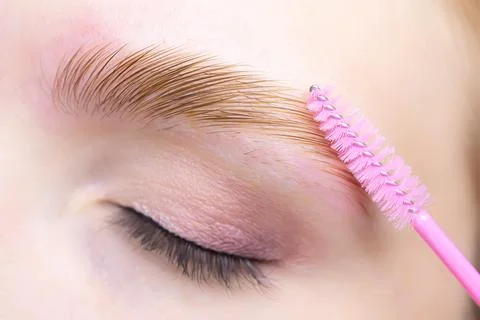 Eyebrow lamination procedure using components Stock Photos