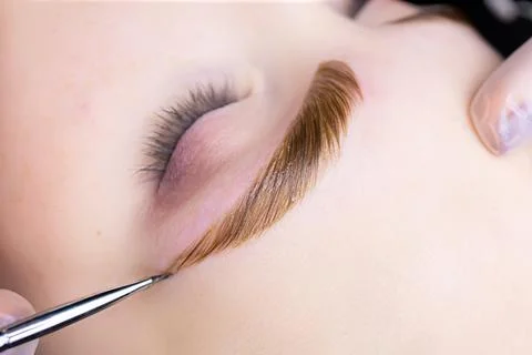 Eyebrow lamination procedure using components Stock Photos