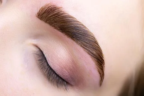Eyebrow lamination procedure using components Stock-Fotos