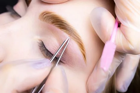 Eyebrow lamination procedure using components Stock Photos