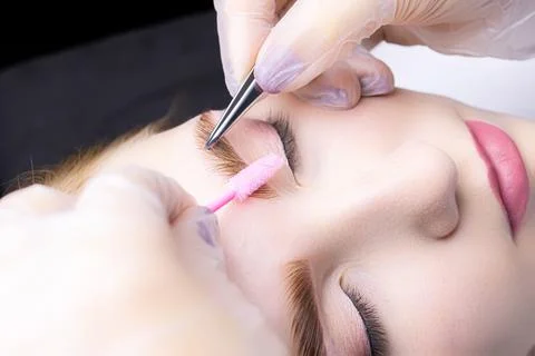 Eyebrow lamination procedure using components Stock Photos